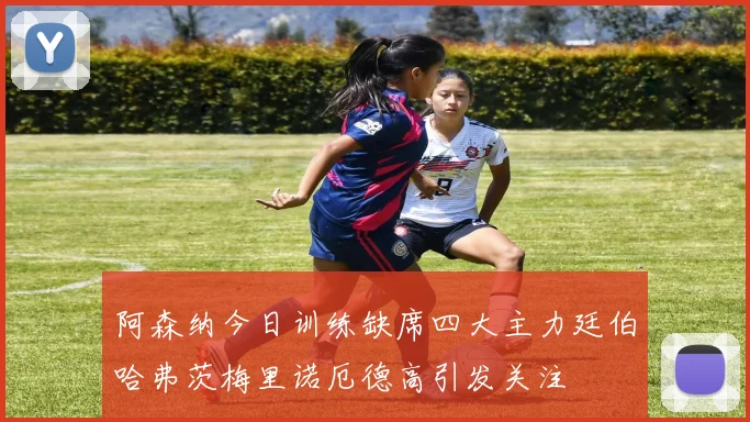阿森纳今日训练缺席四大主力廷伯哈弗茨梅里诺厄德高引发关注
